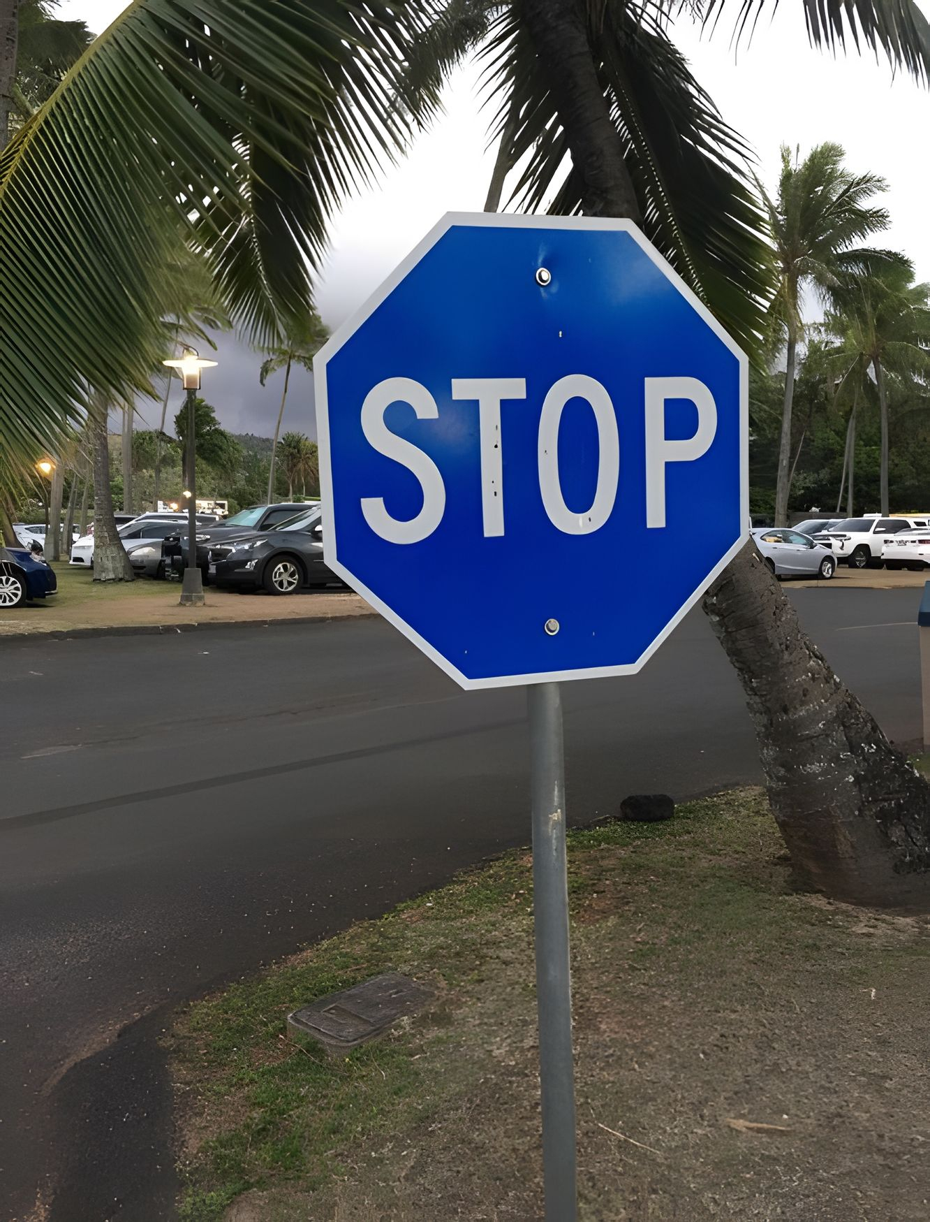 The Meaning Behind a Blue Stop Sign The Meaning Behind a Blue Stop Sign